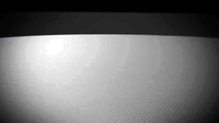 LICENSED TO BLOW - Erin Grey California Amateur Babe Sex