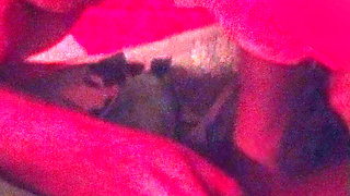 If she sucks, I suck, if she licks, I lick. I already talked to the DJ! Part 2