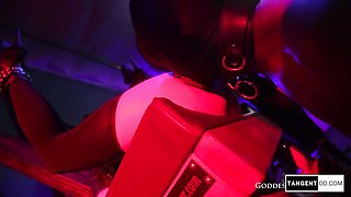 Sexual doxie's BDSM porn