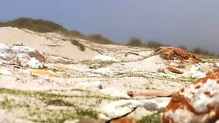 Bruno The Dog Outdoor Sex Compilation - Big Ass MILF Training Walk