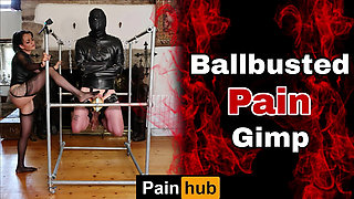 Training Zero Femdom Bondage Ballbusting Punishment