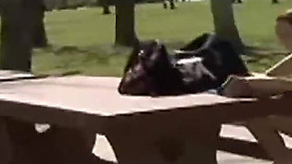 Older dude fucks brunette teen and cums all over her face