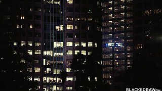 Desirable Demi Hawks and Hollywood Cash's blonde movie