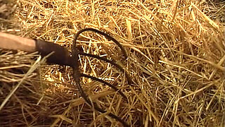 Cuore Di Pietra (1996)