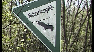 Amateur Teen From Germany Gets to Ride Cock