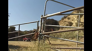 Hard Ass Fuck on Pickup