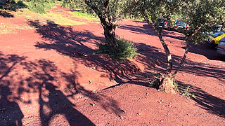 She Asked Me to Stop the Car so She Could Suck Me off