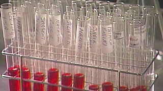 Horny Military Studs in Steamy Action