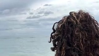 CIMA black and ebony