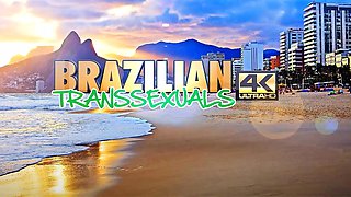 BRAZILIAN TRANSSEXUALS A Perfect Pair