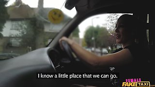Student And Driver Caught Making love 1 - Female Fake Taxi