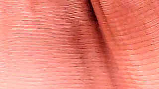 4503619