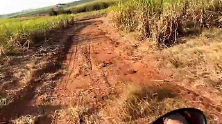 Naughty married nymph meets gym mate, romps in woods. Milk