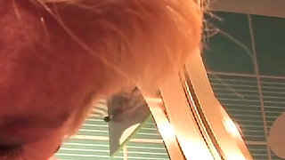 Sloppy Wet BJ and Hardcore Finish