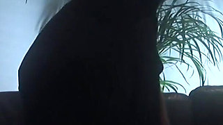 Busty brunette and her two blonde friends suck two stud's tools hardcore