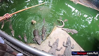 Crocodiles Gobbling And Making His Amateur Thai GIRLFRIEND Jizz Rigid