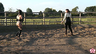 Trotting to Submission