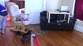 Vacuuming My House