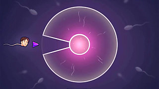 Summertime saga: Stepbrother creampies his stepsister's pussy ep 145