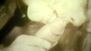 Vintage Cum Sluts Guzzle Loads in Retro Living Room Orgy