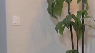 Young Little Slut Fingering Her Wet Pussy in Solo Action