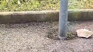 Towed on the Highway by a Stranger