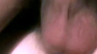 Jade Pussycat Classic Beauty