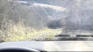 ManyVids-Stacy Cruz: Put Me In Reverse And Cum