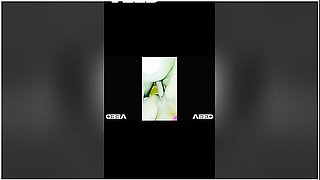 We Are In Russia Trip Vacation Bigdick Ebony Pretty Pussy Air Bnb