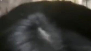 Sex on One of the Busiest Avenues in Sao Paulo