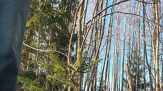 In the Last Few Days I've Been Traveling All Over the Russian North