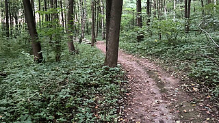Extreme sex in the forest: with a young girl with big breasts.