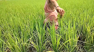 I Cleared the Grass in the Paddy Field, Made Some Space, and Peeing