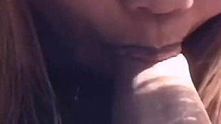 Vintage Swallow Asian Cutie Hooker Fantasy