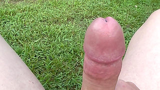 Detailed view of my hard cock in the sun