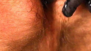 Glimpse Featuring Charlie Forde, Honey Analverkehr, Friedrich Kreuz