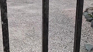 Busty Black Girl Picked up at the Pool & Cum Creamed