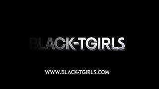 BLACK TGIRLS Updates 16th to 20th Mar 26