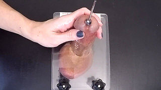 Clearing the Urethra Results in Copious Sperm Flow