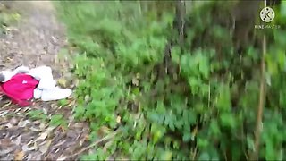 le loup a choppé coculove dans la nature