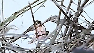 Beach Girl Barbetta Gets Naked in the Bushes