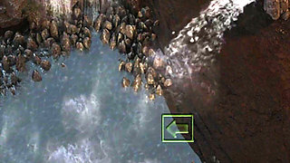 The genesis order (by NLT) - part. 29 (NVO)