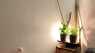 Light Shibari Show