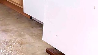 Destroying this kitchen with my powerpissing stream