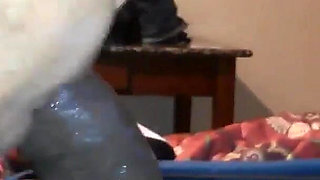 BBW Blowjob Licks All Over Dick Sucks Cum Out of It