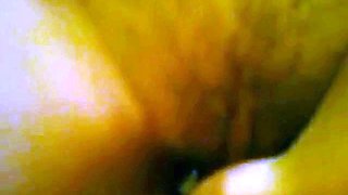 Brazilian Housemaid Pussy Pounded