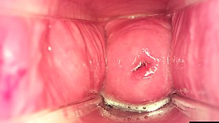 TeenFidelity-Big Creampie, Lily Larimar