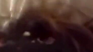 Up Close BJ and Fucking