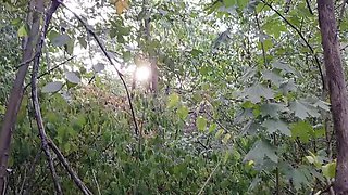 Public Risky POV Masturbation - Skinny Brunette Teen Solo in Forest