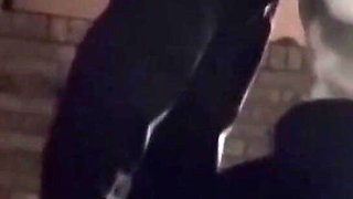 Extremely Risky Bar Blowjob and Downtown Sucking and Flashing